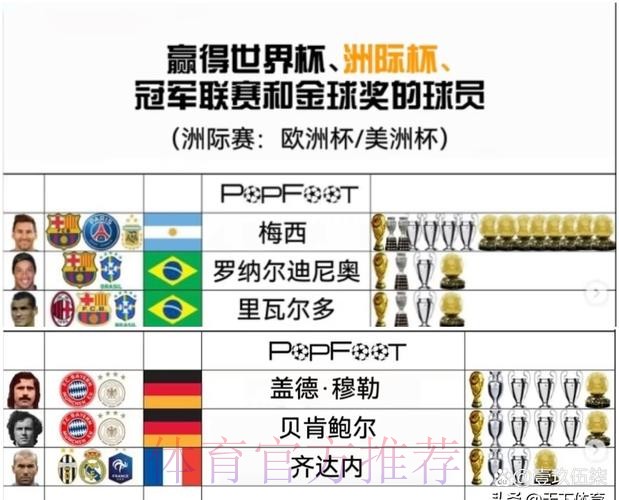 世界杯球队名单怎么查